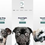 digital download store theme product featured image 8